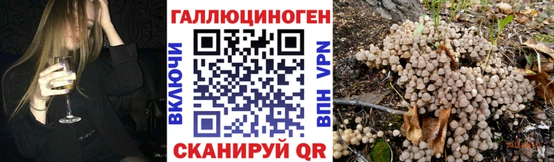 закладка Кущёвская Псилоцибиновые грибы MAGIC MUSHROOMS